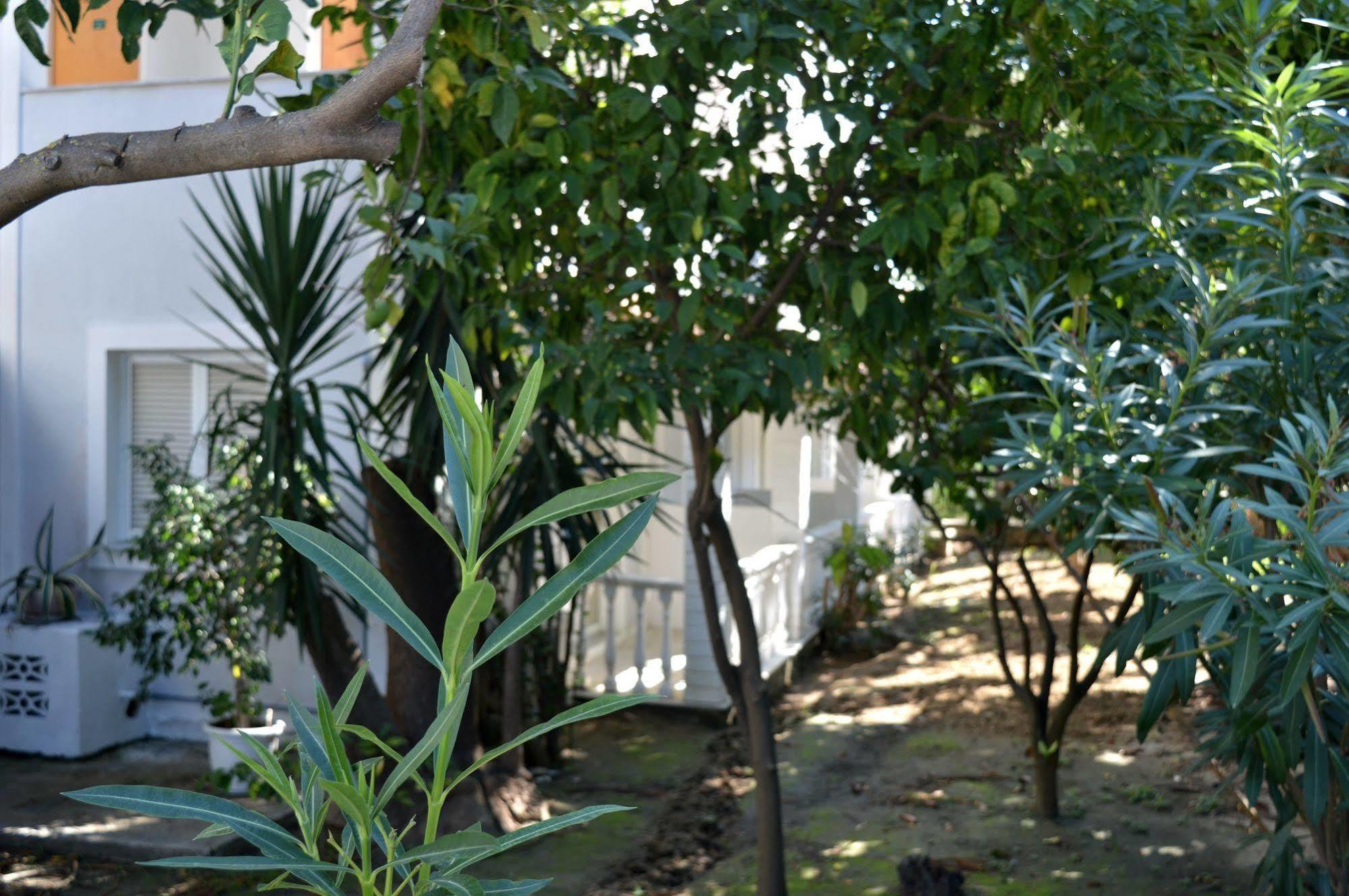 Paradise Beach Camping Platys Gialos  Exterior foto